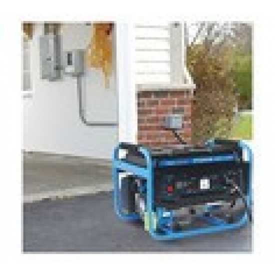 TRADE PROFESSIONAL / TP2800 4Stroke 2.8kW 5.5HP Petrol Generator  / MCOG701A